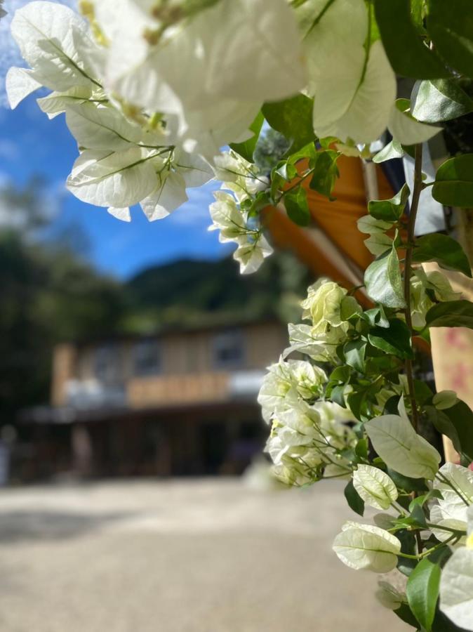 Lu-Lin B&B Wufeng  Ngoại thất bức ảnh