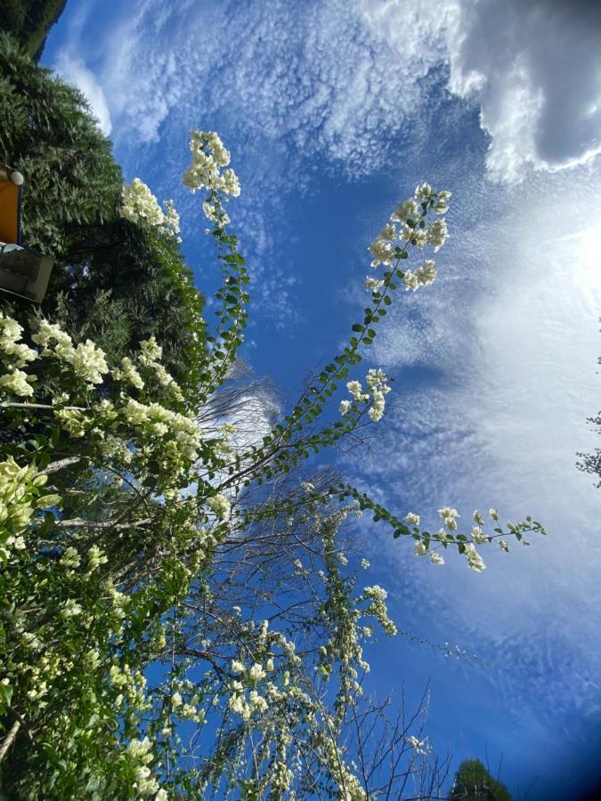 Lu-Lin B&B Wufeng  Ngoại thất bức ảnh